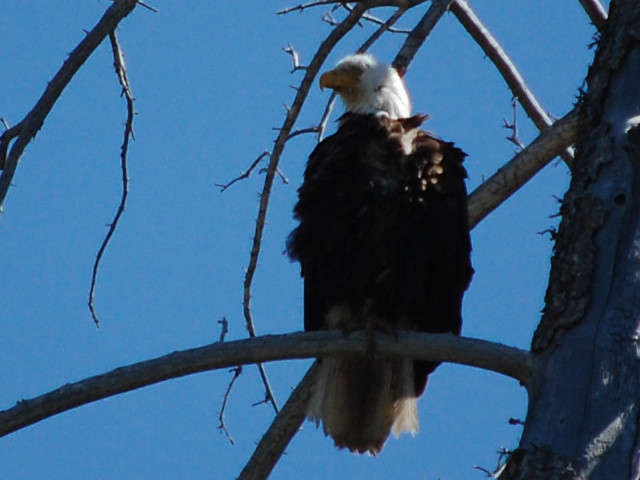 Solitude Float Trips-大提顿国家公园必去景点