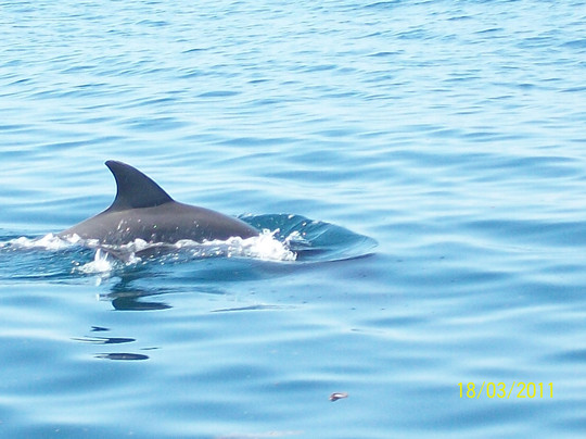 Safari Kenya Con Samuel-瓦塔木必去景点