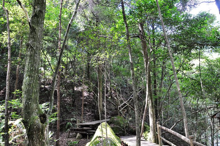 牯牛降-石台县必去景点