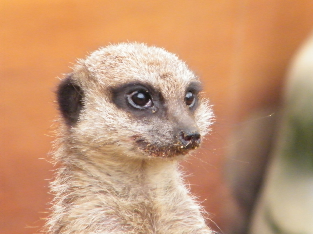 Amazon World Zoo Park-桑当必去景点