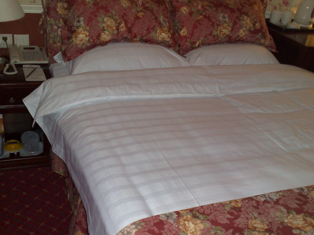 重庆橡树林酒店罗马假日店主图