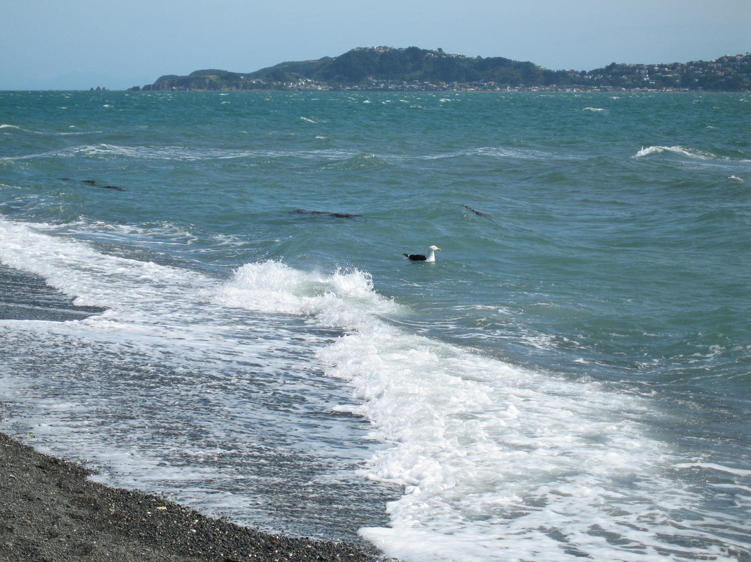 Eastbourne Beach景点图片