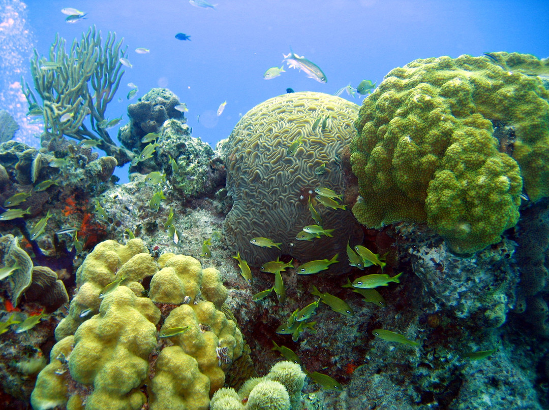 Grand Turk Diving-Cockburn Town必去景点