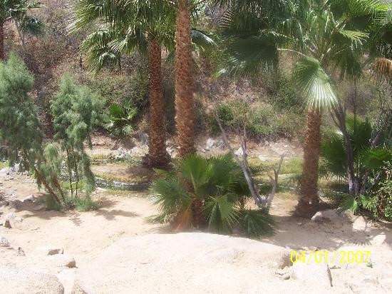 Cabo Del Sol Golf Club-卡波圣卢卡斯必去景点