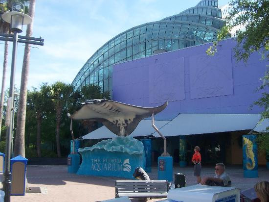 佛罗里达水族馆-坦帕必去景点
