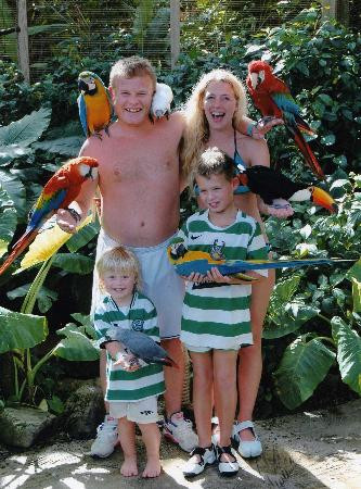 Ocean World Adventure Park, Puerto Plata-普拉塔港必去景点