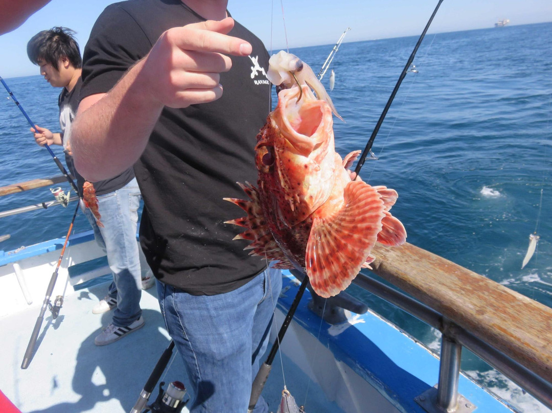 Newport Landing Sportfishing-纽波特海滩必去景点
