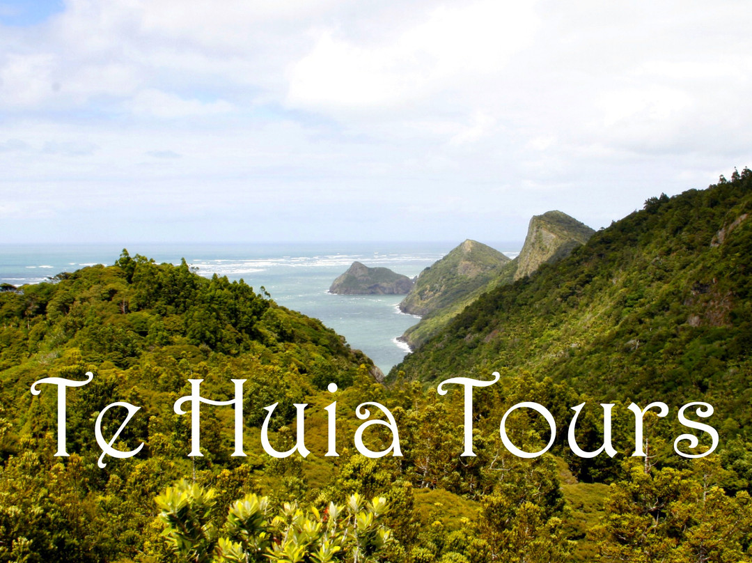Te Huia Tours景点图片