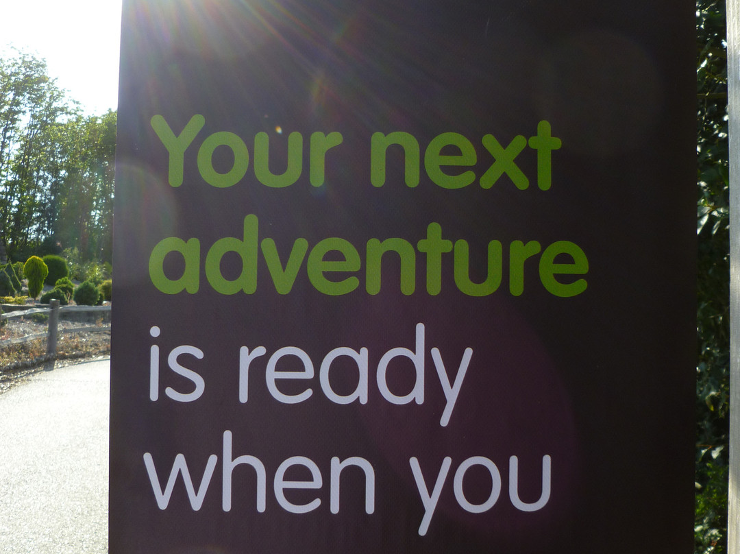 Bedgebury National Pinetum And Forest-Goudhurst必去景点