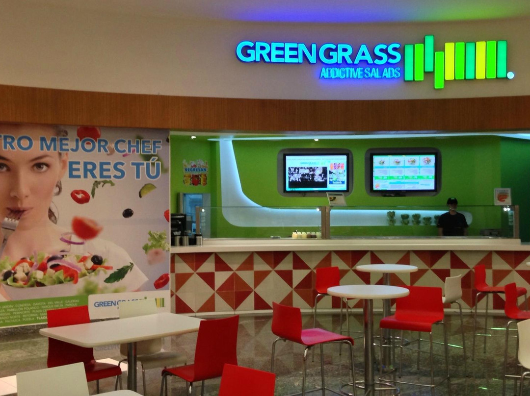 Santa Maria Tequepexpan餐馆和美食-Green Grass