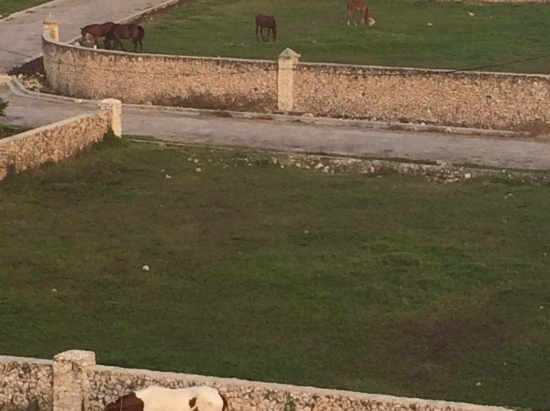 Cabrera酒店住宿-Hotel Terramar