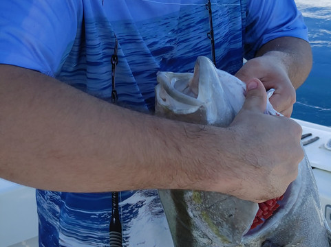 True Grit Sportfishing-庞帕诺比奇必去景点