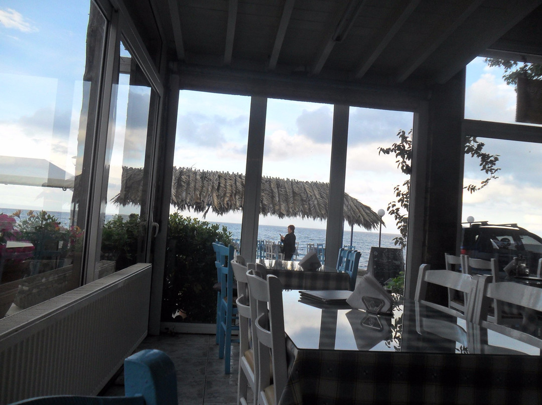 Koutsoupia餐馆和美食-Taverna Elena