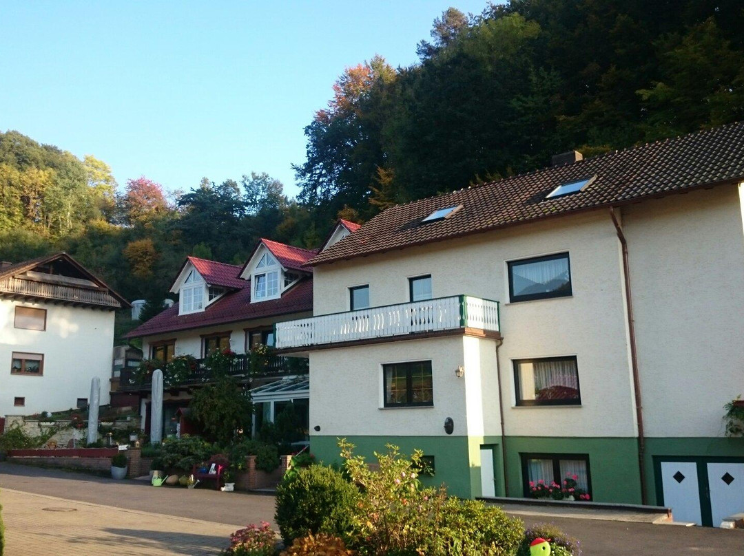 Ringgau旅游攻略图片