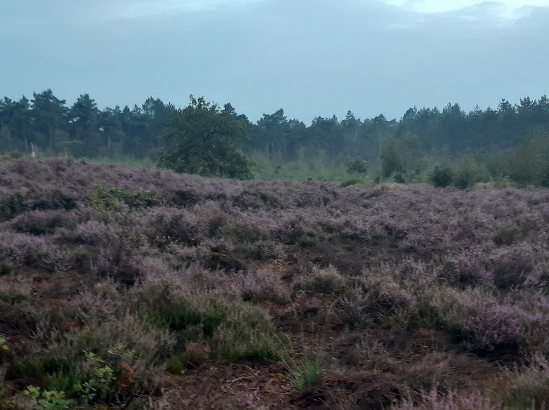 Grafheuvel Alphen