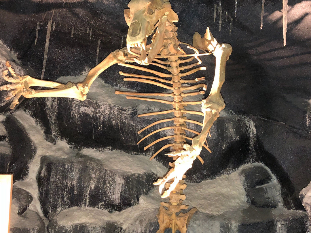 Cabela's-图拉丁必去景点