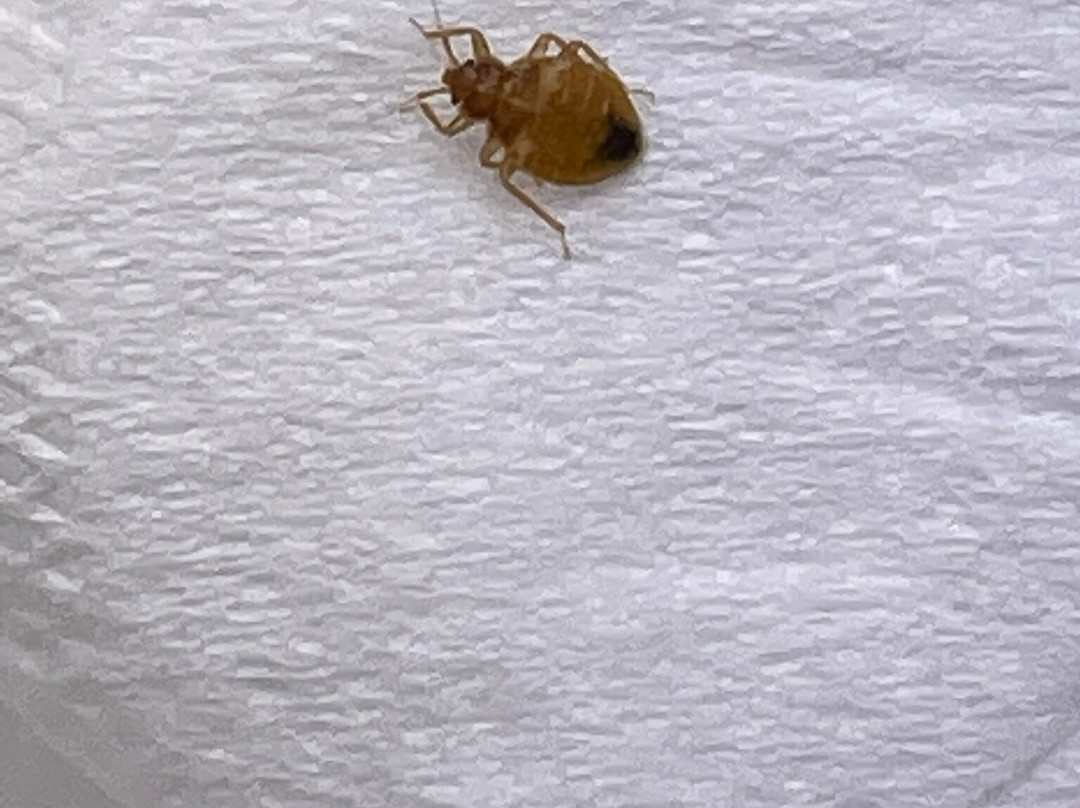 海洋广场度假酒店主图