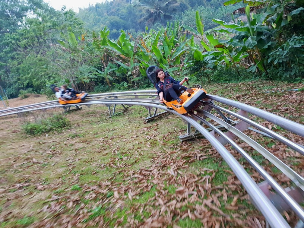 Monjam Zipline Adventure-夜林必去景点