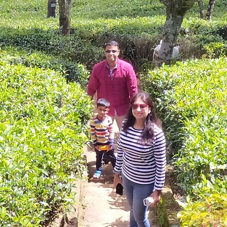 Diya Ulpatha Tea Garden Resort主图