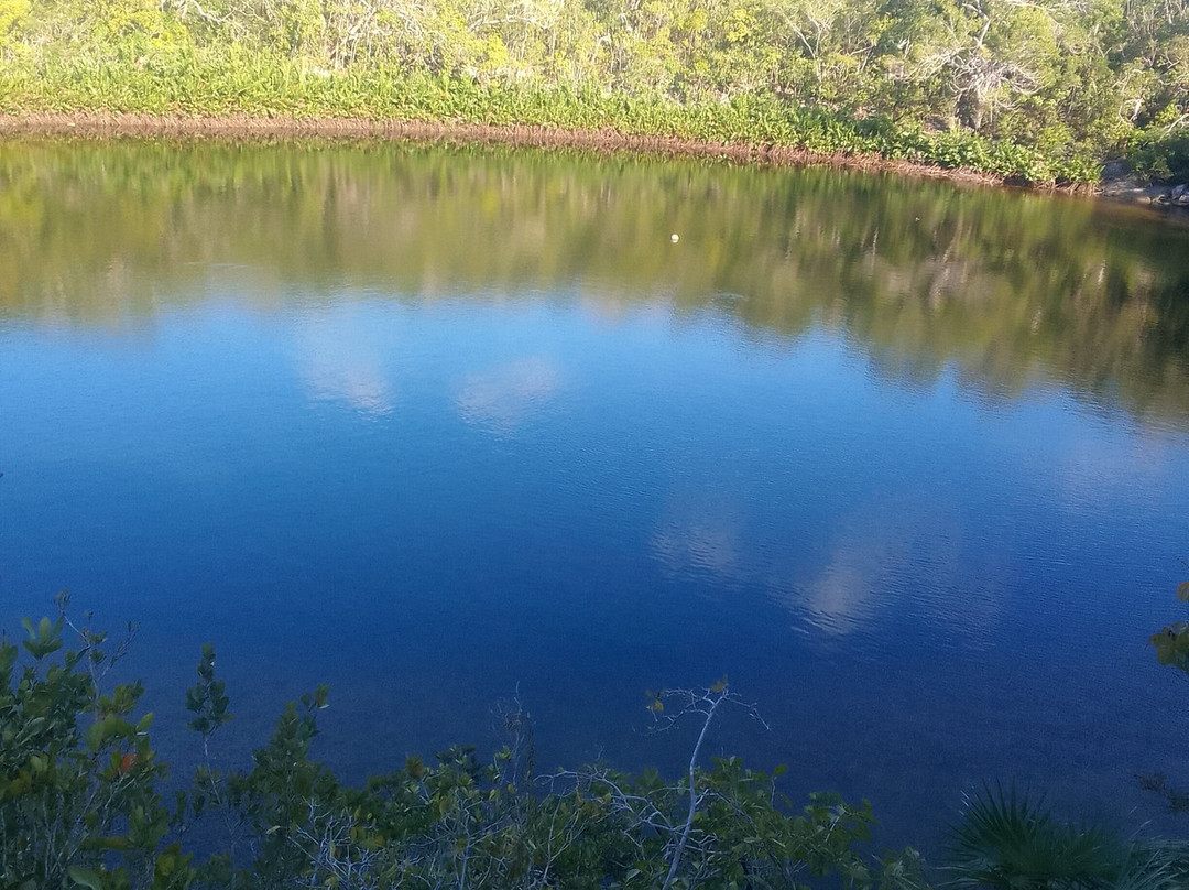 Cottage Pond-North Caicos必去景点