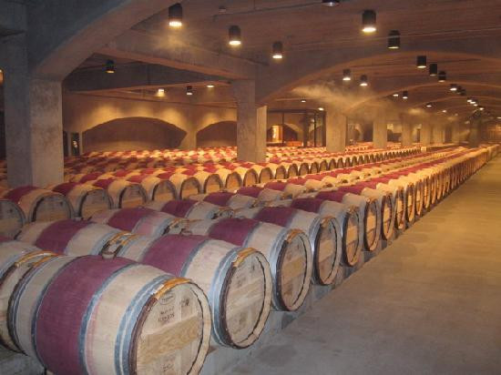 罗伯特蒙大菲酒庄-纳帕必去景点