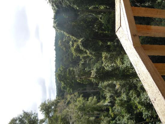 Kakum National Park-Cape Coast必去景点