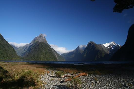 RealNZ-米尔福德峡湾必去景点