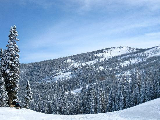 Snowmass Village Hiking Trails-斯诺马斯村必去景点