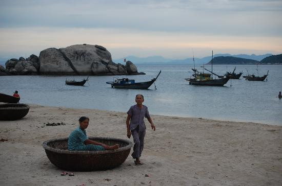 Cham Island Diving景点图片