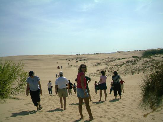 Jockey's Ridge State Park景点图片