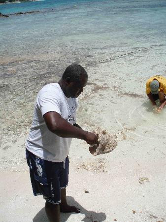 Miguel's Holiday Adventure-圣 约翰必去景点