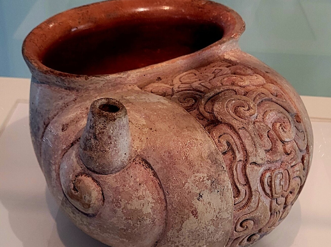 Museo Regional de Antropologia Carlos Pellicer Camara景点图片
