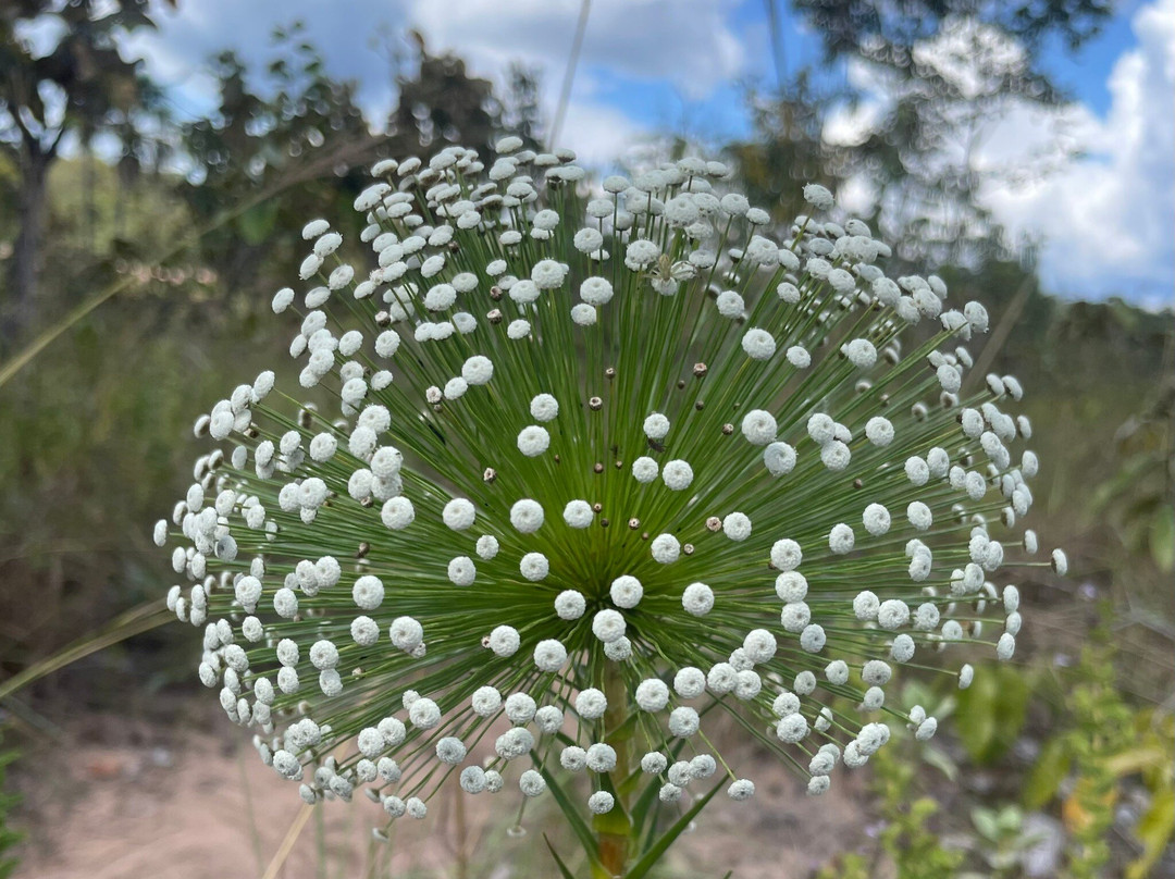 Seriema Ecoturismo-Rio da Conceicao必去景点
