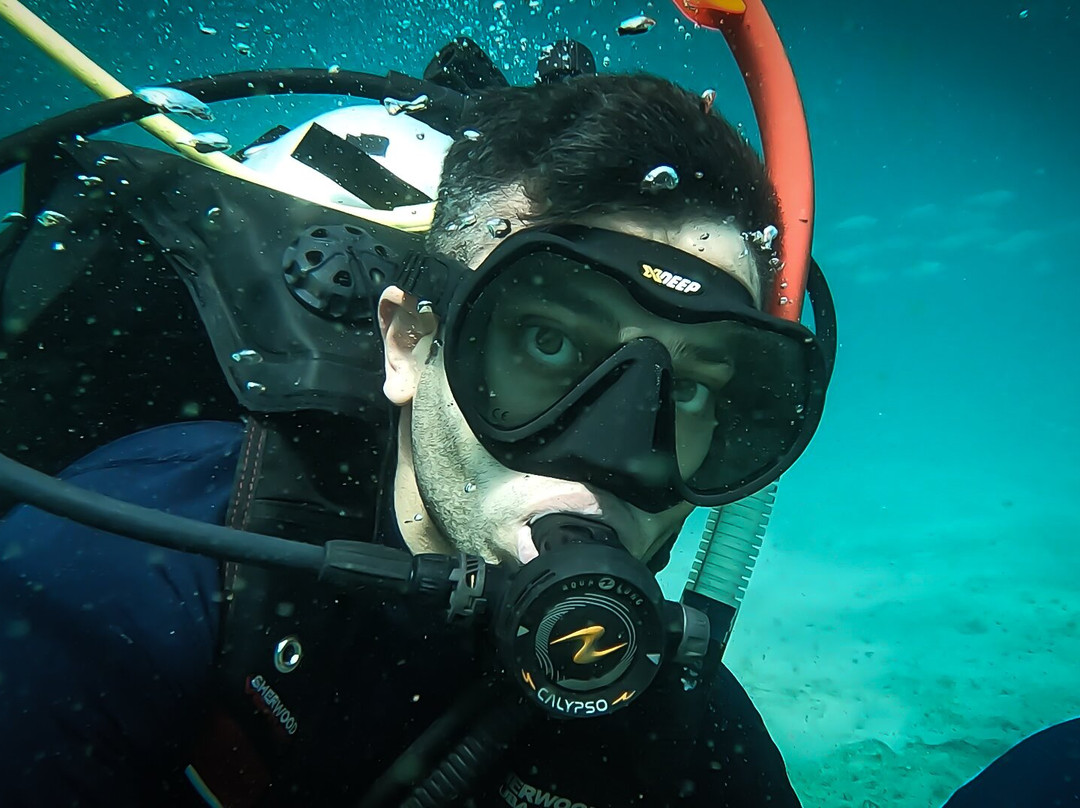 Dive Persia景点图片