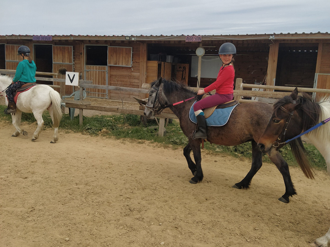 La ferme equestre des peches景点图片
