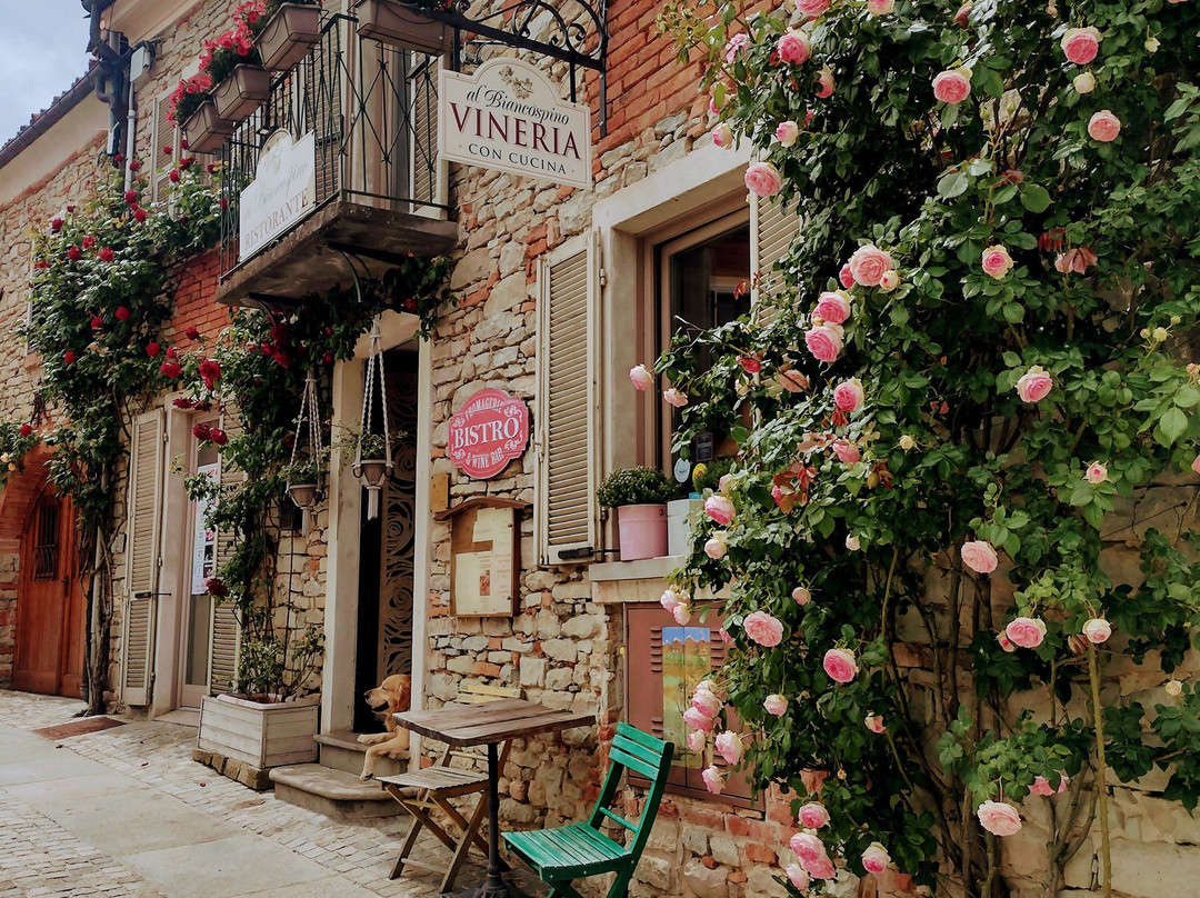 Borgo di Bossolasco景点图片