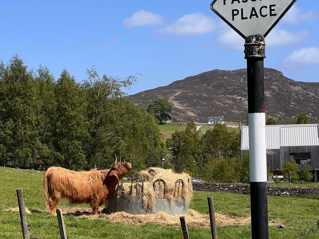 Highland Folk Museum景点图片