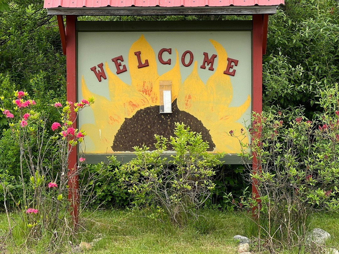 Saint Joseph's Dwelling Place主图