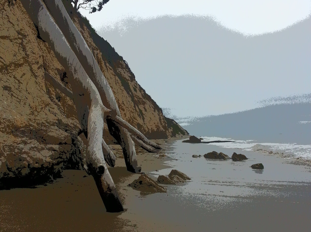 Arroyo Burro County Beach Park-圣巴巴拉必去景点