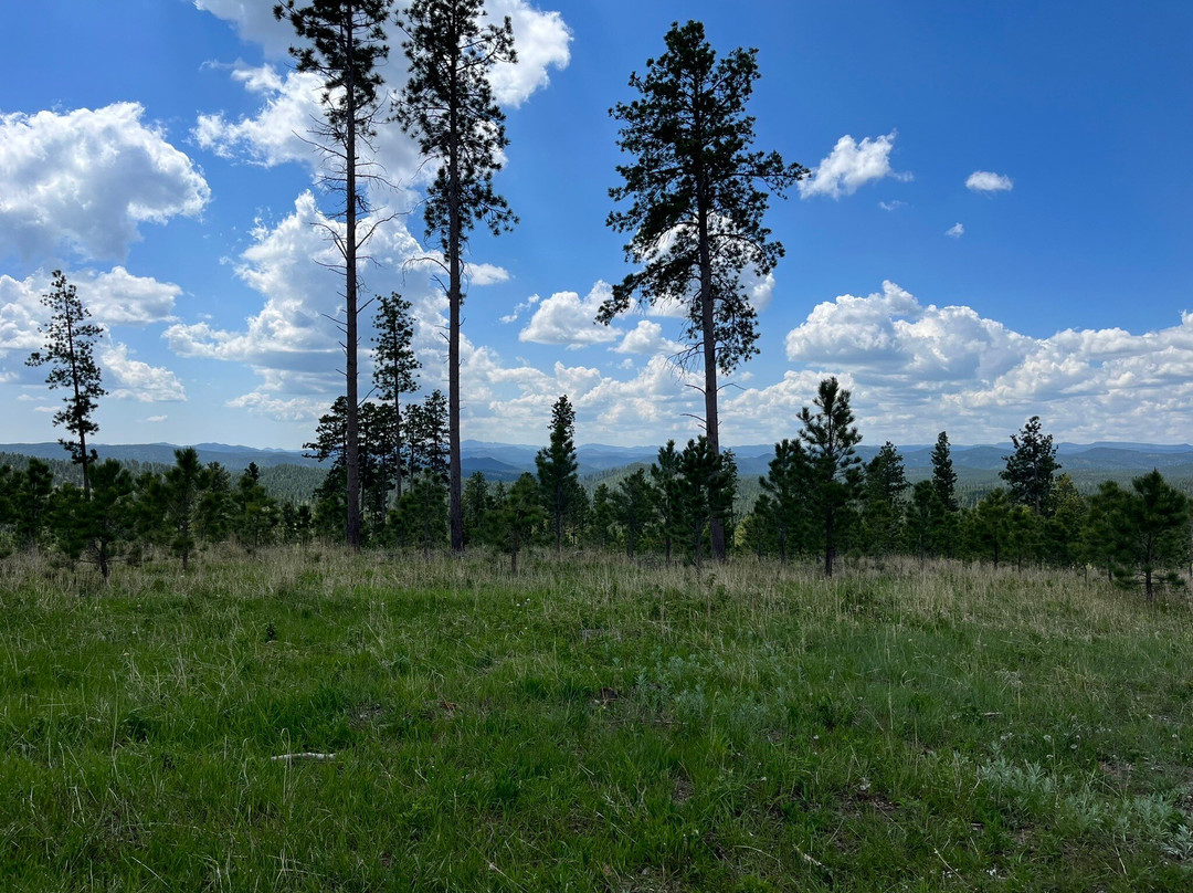 Black Hills Off-Road Rentals-戴德伍德必去景点