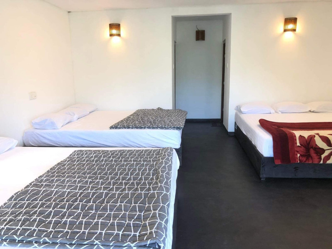 Knuckles Mansala主图