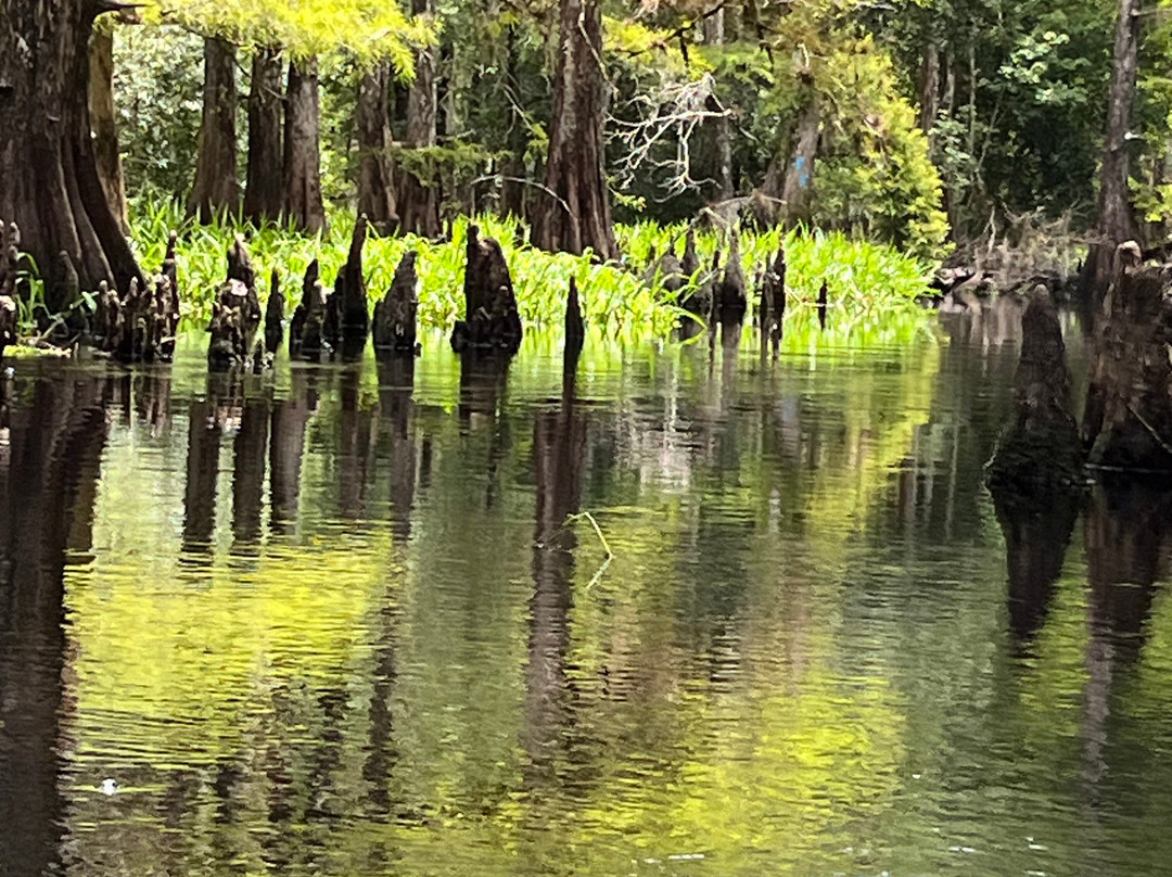 Fisheating Creek Outpost景点图片