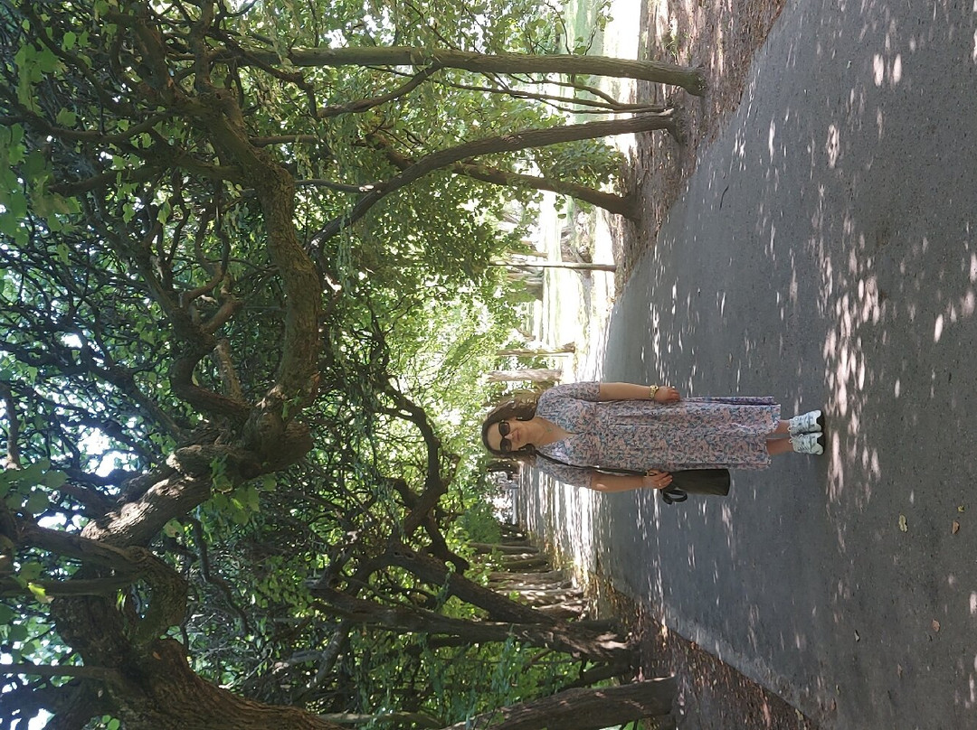 Oliwski Park景点图片