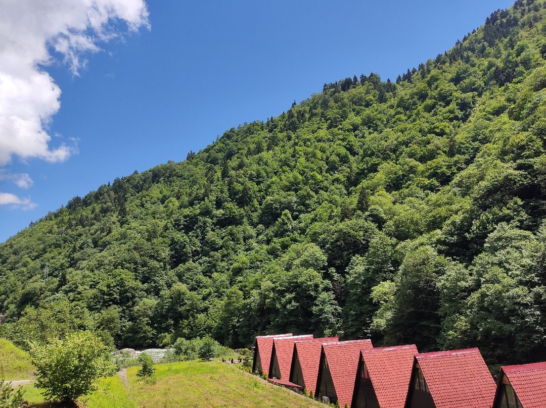 Kackar Daglari Milli Parki景点图片