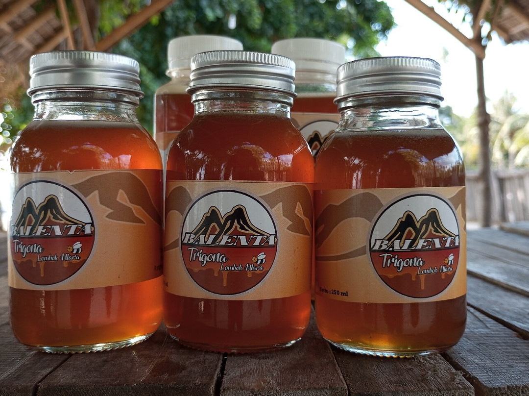 Balenta Trigona-Tanjung必去景点