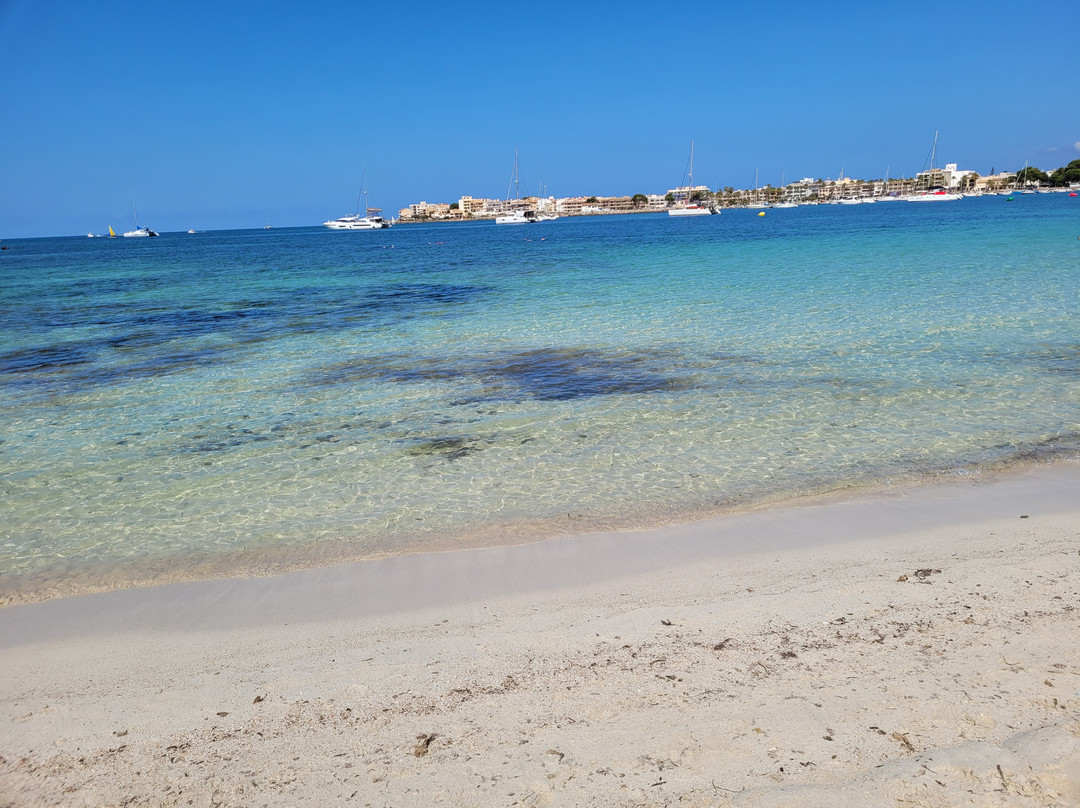 Playa Es Dolc景点图片
