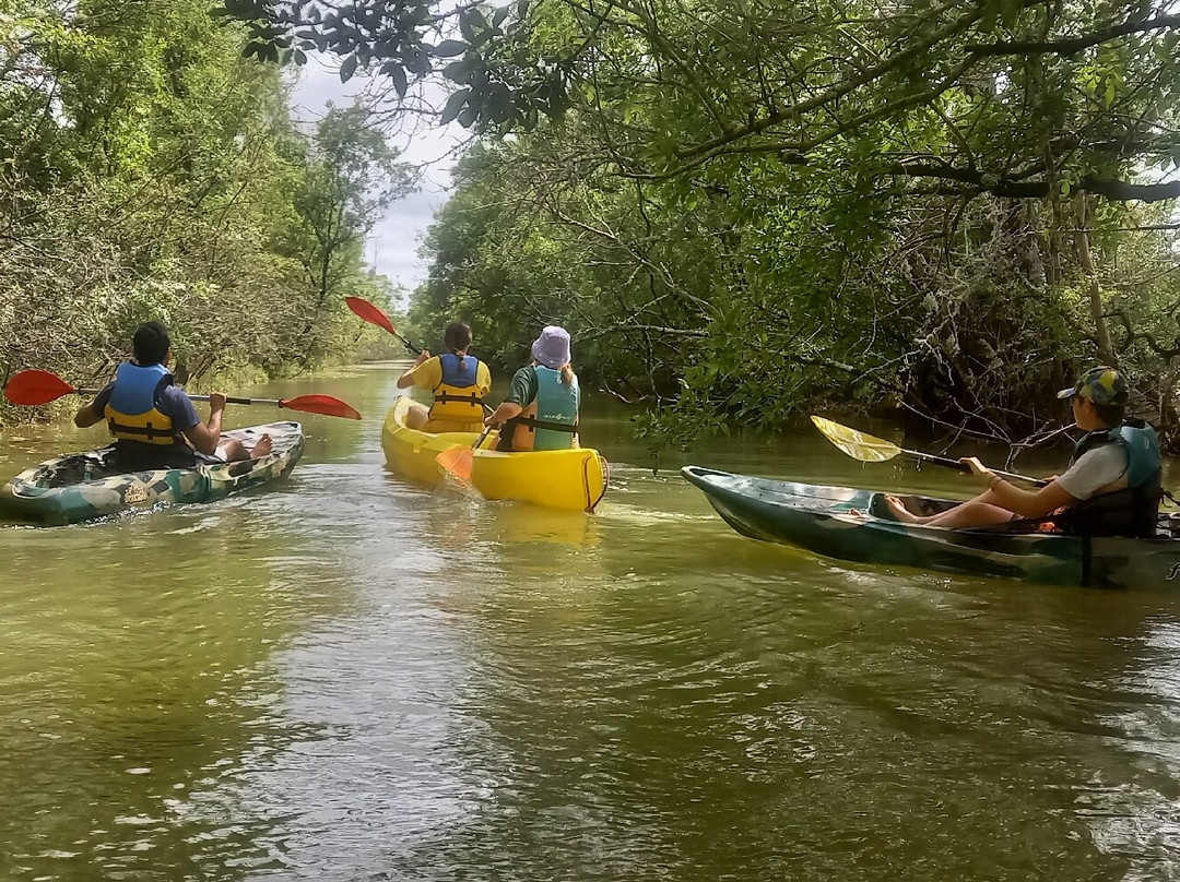 Medoc Explorer Canoe景点图片