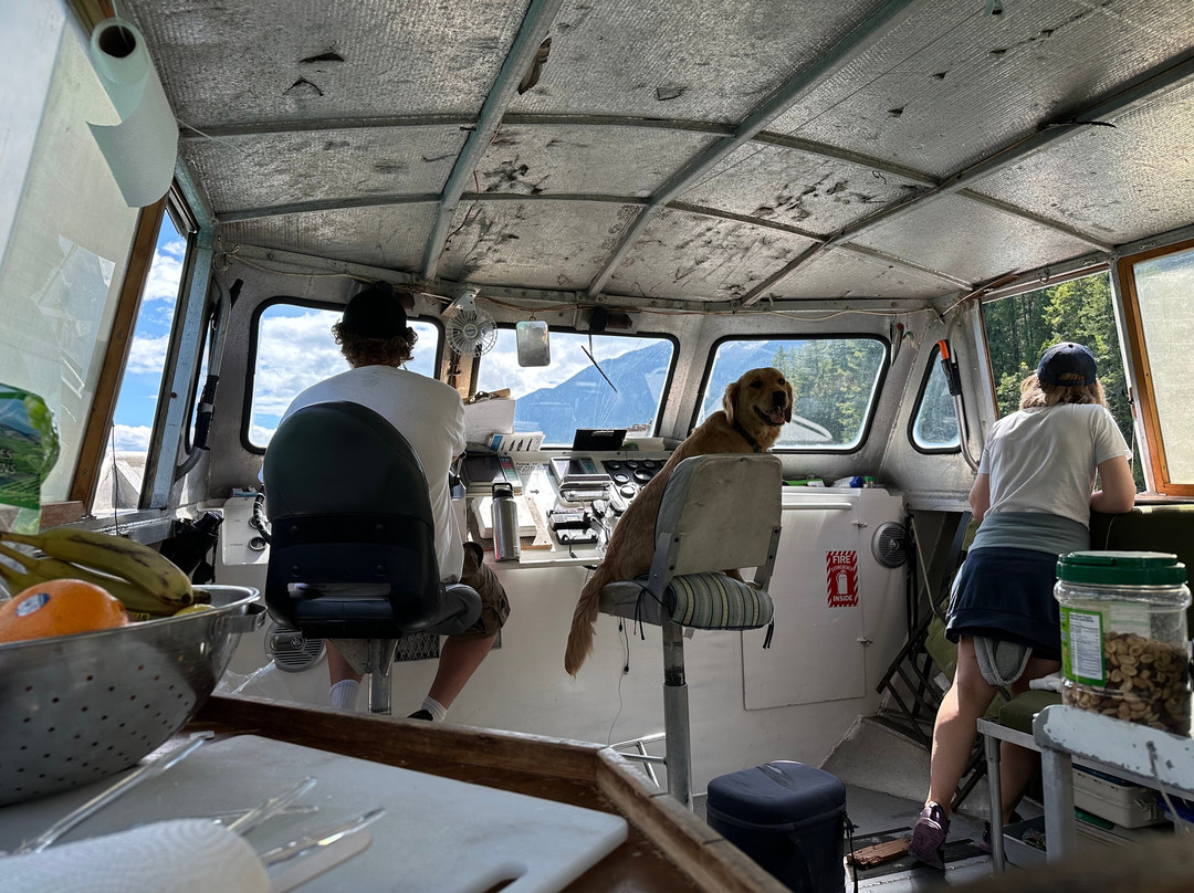 Bella Coola Grizzly Tours-Bella Coola必去景点