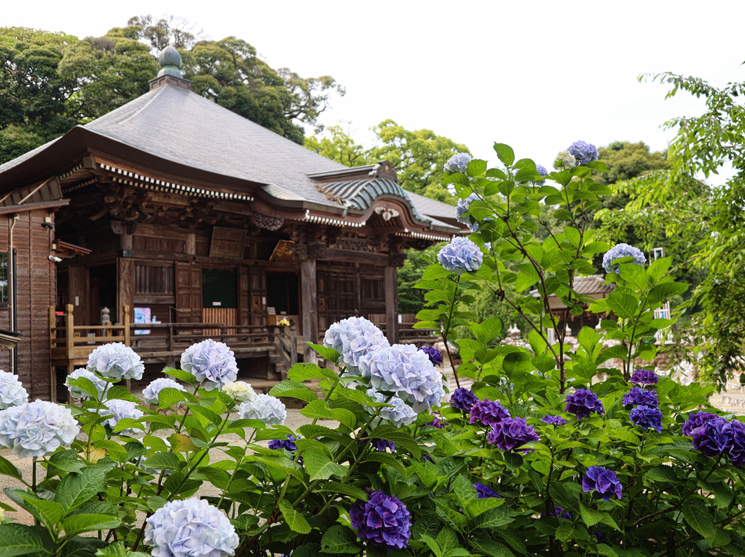 Chokoku-ji Temple景点图片