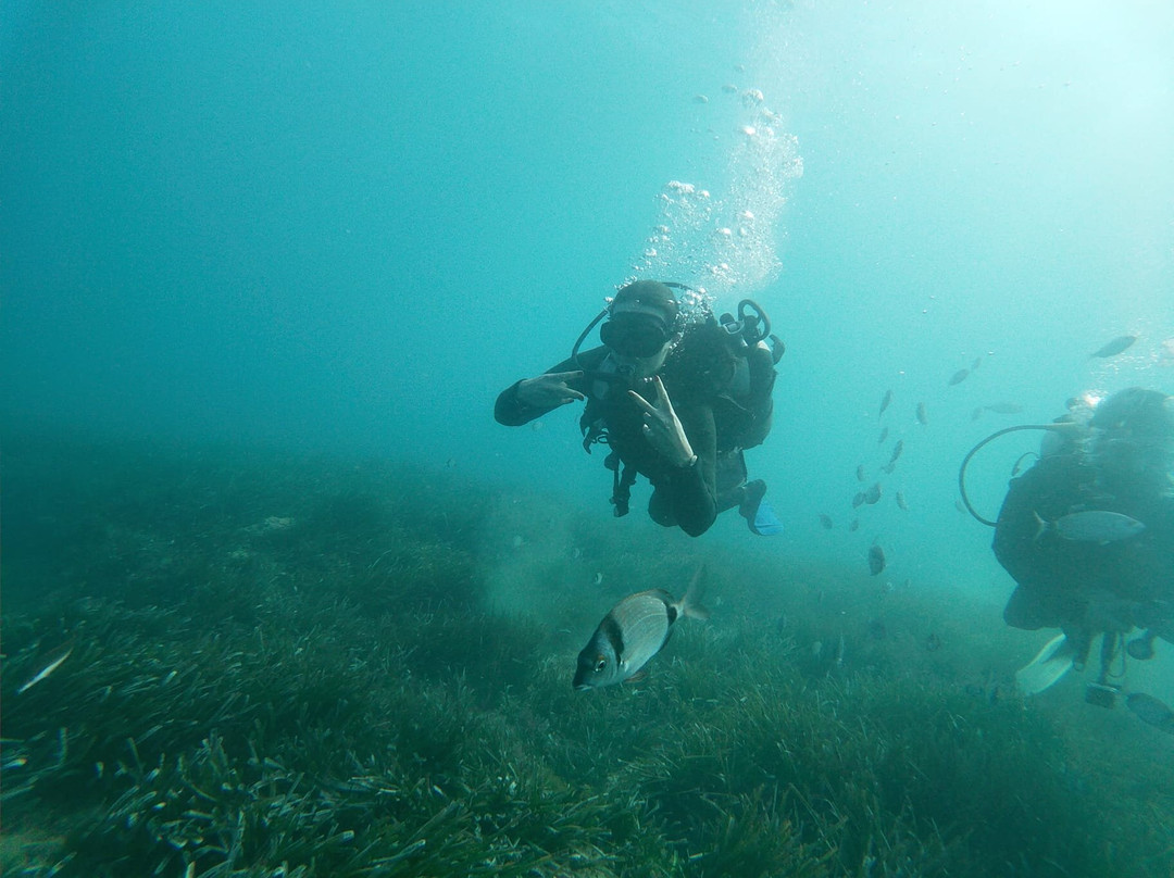 Port El Kantaoui Diving景点图片